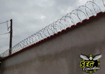 Cerca Concertina em Ilhabela - SP