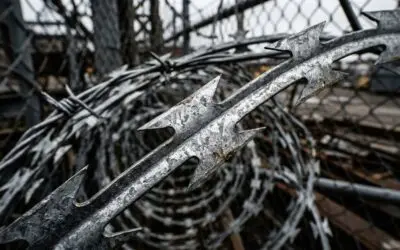 Rede Laminada Galvanizada: Durabilidade contra Corrosão em Muros e Gradis